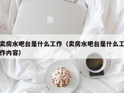 苏州卖房水吧台是什么工作（卖房水吧台是什么工作内容）