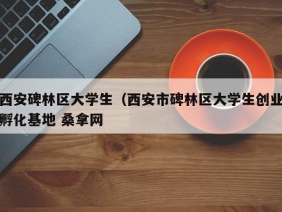 苏州西安碑林区大学生（西安市碑林区大学生创业孵化基地 桑拿网