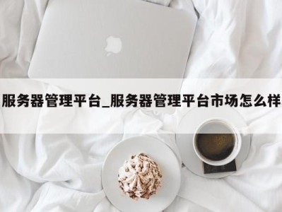 苏州服务器管理平台_服务器管理平台市场怎么样 