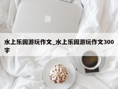 苏州水上乐园游玩作文_水上乐园游玩作文300字 